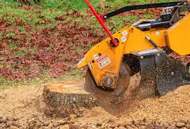 How Our Tree Care Process Works  in  Ridge, NY