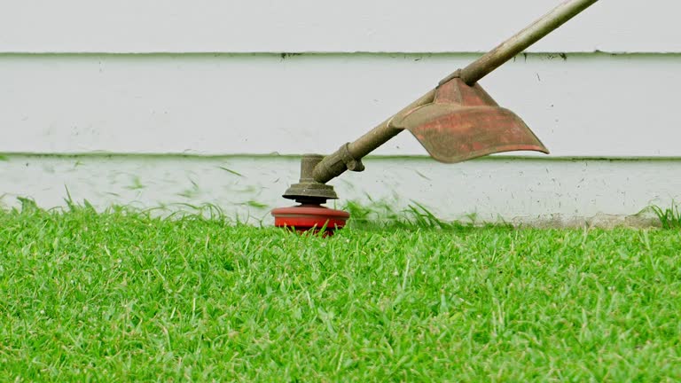 Best Commercial Tree Services  in Ridge, NY